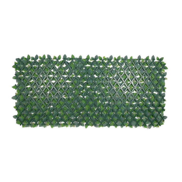 ИЗКУСТВЕН ПЛЕТ ХАРМОНИКА ФИТОНИЯ 1X2M