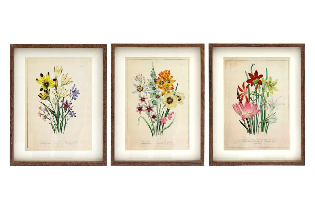 КАРТИНА 30X40 ДИВИ ЦВЕТЯ 3 ВИДА