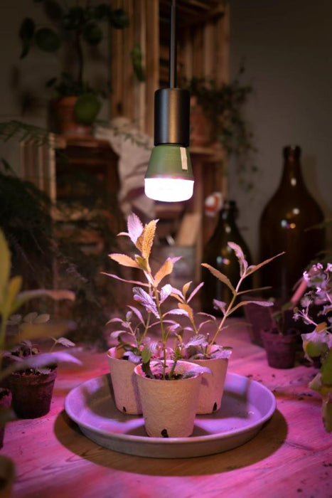 ФИТОЛАМПА GROW T 10W E27 OSRAM
