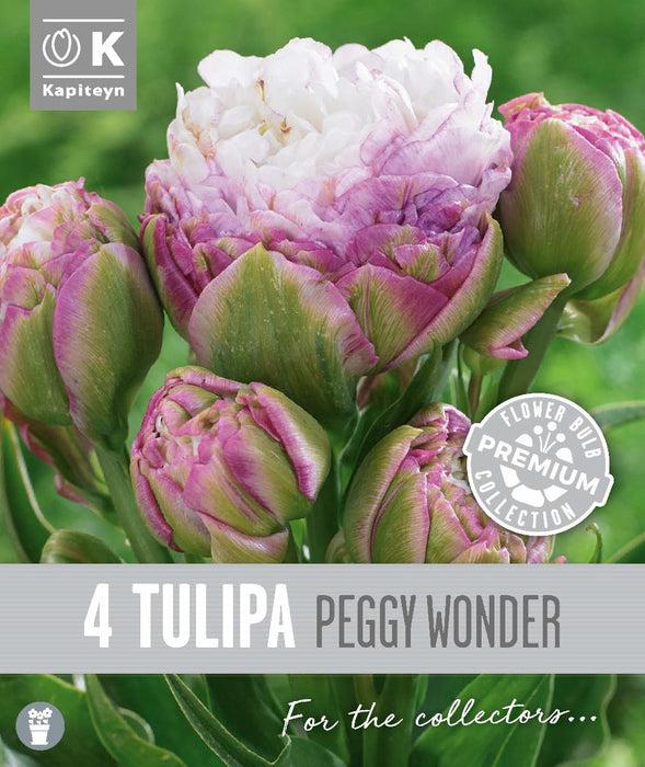 ЛАЛЕТА PEGGY WONDER 4 БР