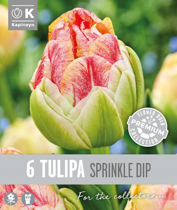 ЛАЛЕТА SPRINKLE DIP 6 БР