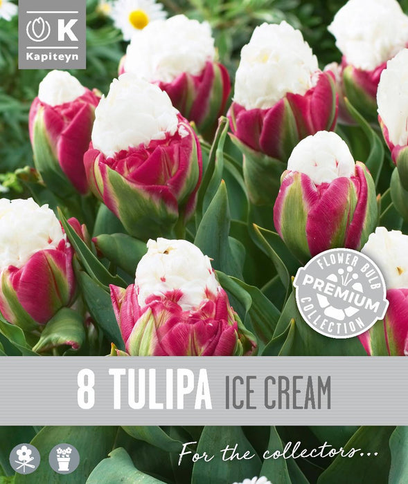 ЛАЛЕТА ICE CREAM 8 БР