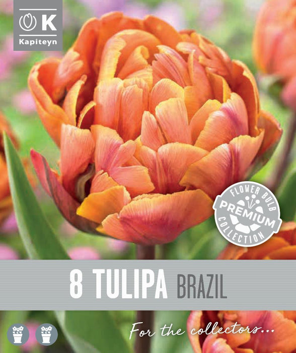 ЛАЛЕТА  BRAZIL  8 БР
