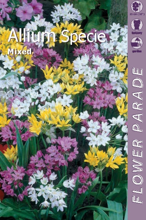 АЛИУМ BOTANICAL МИКС 10БР