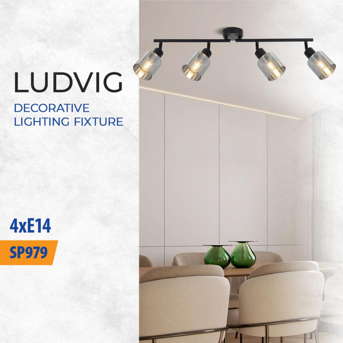 СПОТ ОПУШЕНИ СТЪКЛА LUDVIG 4XE14