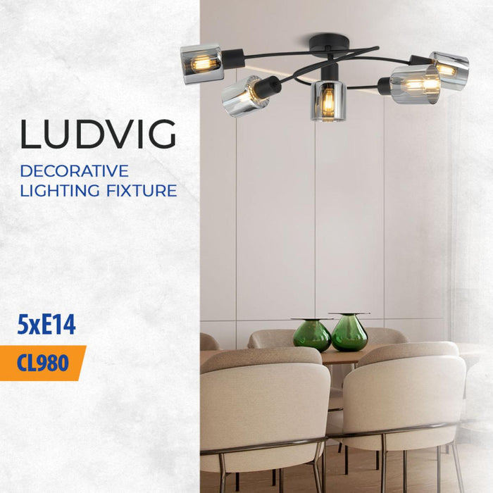 ПЛАФОН ОПУШЕНИ СТЪКЛА LUDVIG 5ХЕ14