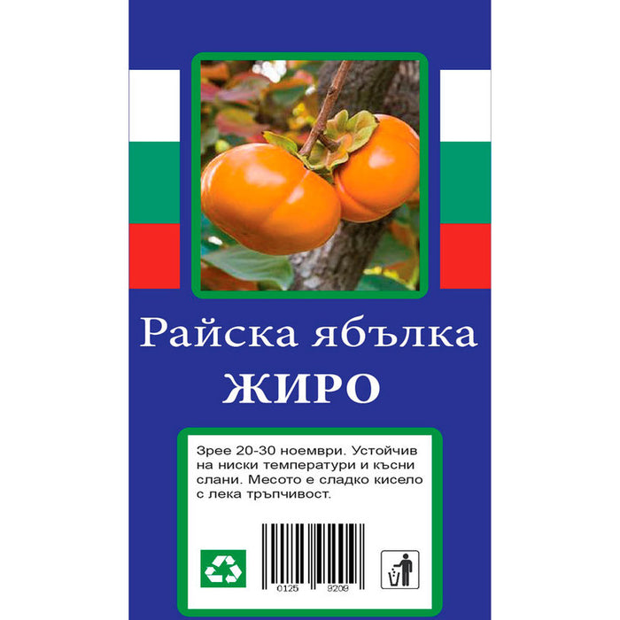 РАЙСКА ЯБЪЛКА С ПАКЕТИРАН КОРЕН