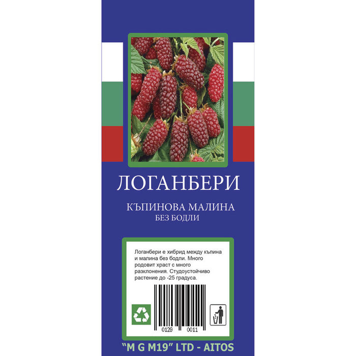КОРЕН ЛОГАНБЕРИ