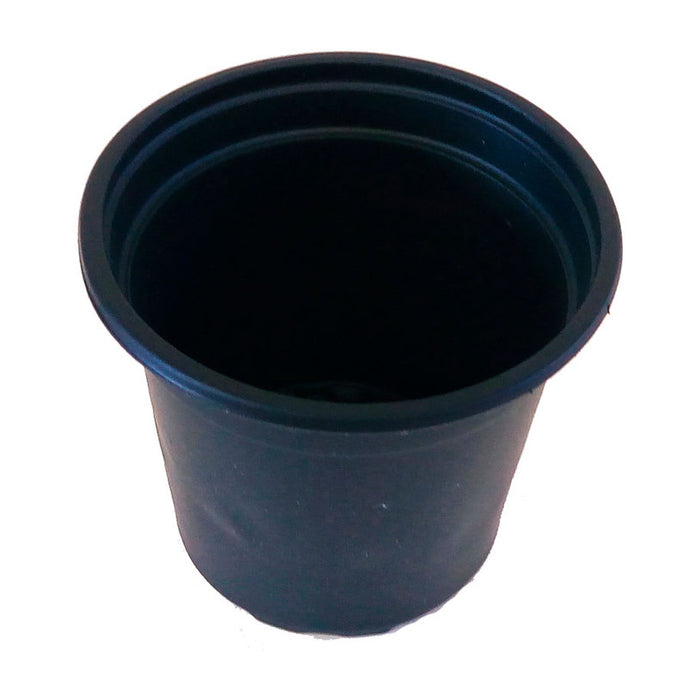 САКСИЯ ЗА РАЗСАД 8X9CM