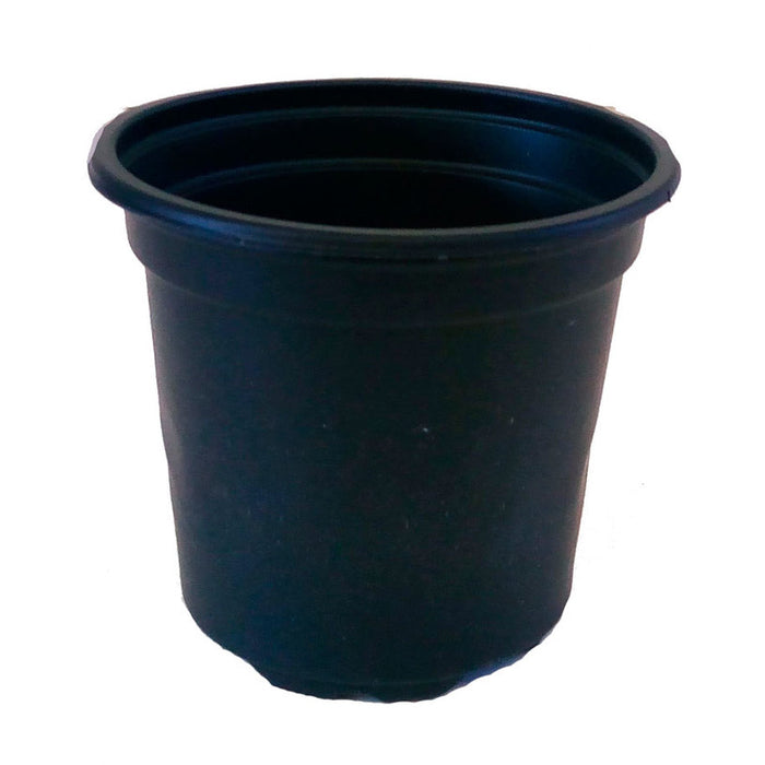 САКСИЯ ЗА РАЗСАД 8X9CM