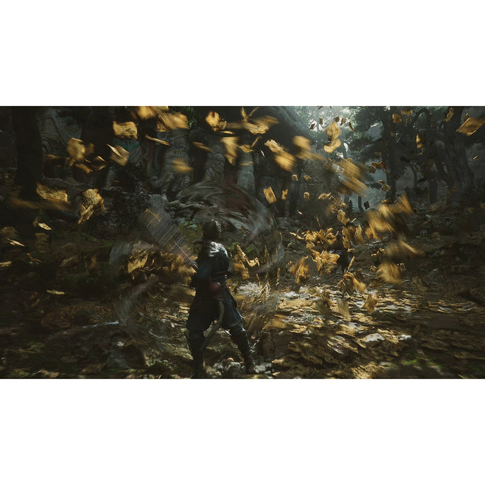 Игра BLACK MYTH WUKONG PLAYSTATION 5 PS5