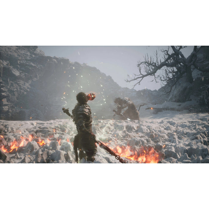 Игра BLACK MYTH WUKONG PLAYSTATION 5 PS5