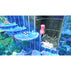 Игра KIRBY FORGOTTEN LAND + STAR-CROSSED WORLD NINTENDO SWITCH 2