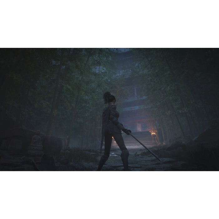 Игра WUCHANG FALLEN FEATHERS PLAYSTATION 5 PS5