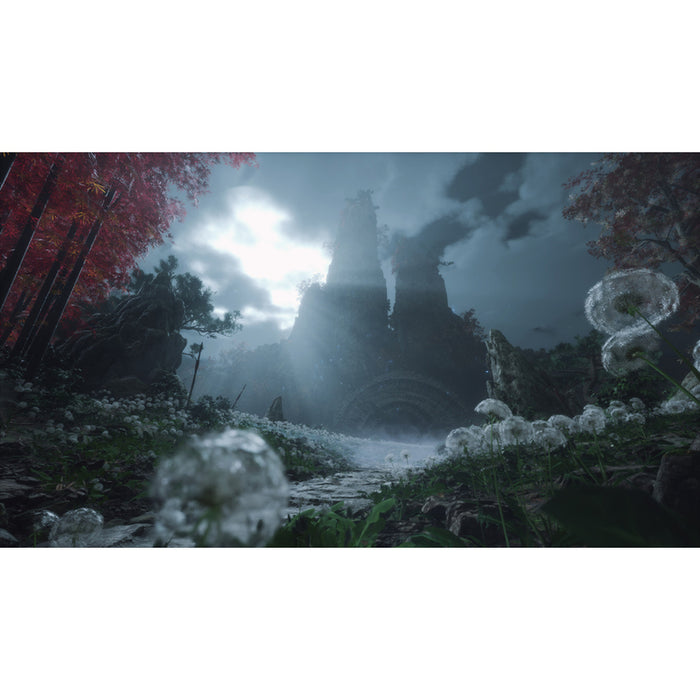 Игра WUCHANG FALLEN FEATHERS PLAYSTATION 5 PS5