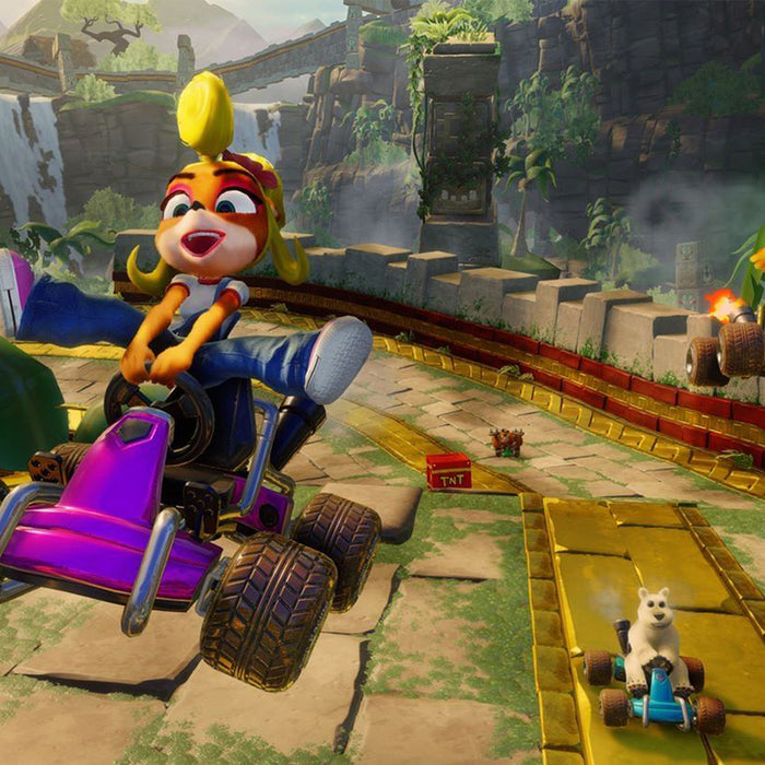 Игра CRASH TEAM RACING NINTENDO SWITCH
