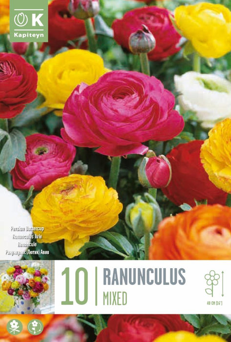 РАНУНКУЛУС МИКС 10 БР