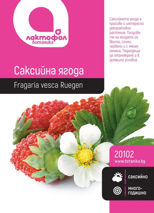 СЕМЕНА САКСИЙНА ЯГОДА БОТАНИК