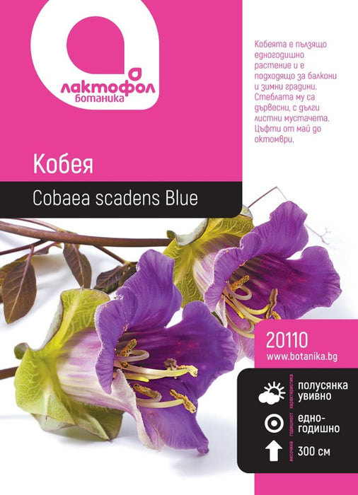 СЕМЕНА КОБЕЯ БОТАНИК