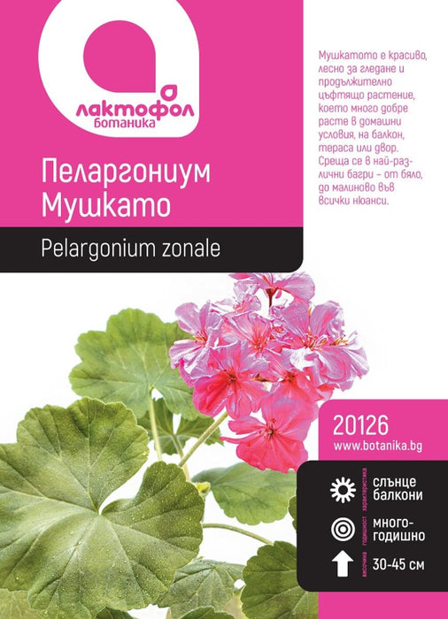 СЕМЕНА ПЕЛАРГОНИУМ БОТАНИК