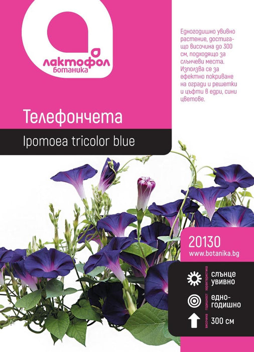 СЕМЕНА ТЕЛЕФОНЧЕТА БОТАНИК