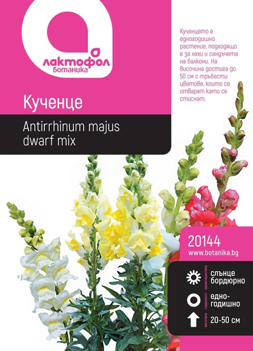 СЕМЕНА КУЧЕНЦЕ БОТАНИК