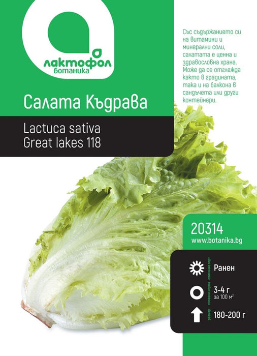 СЕМЕНА САЛАТА КЪДРАВА БОТАНИК