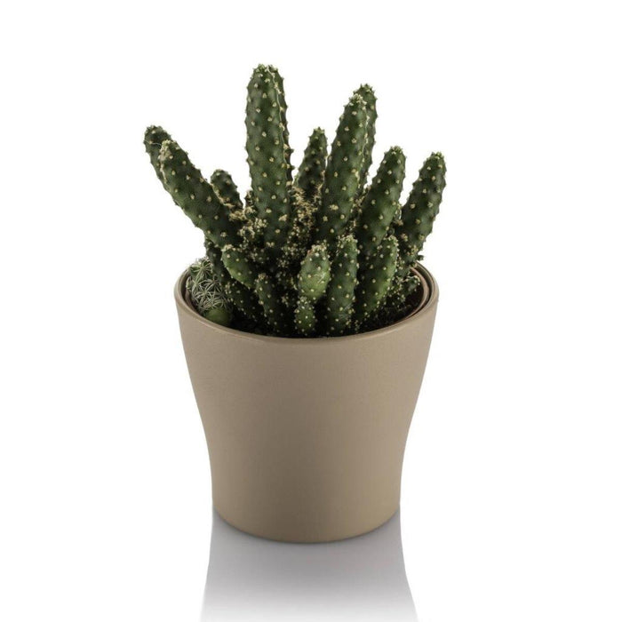 КАШПА ЗА КАКТУСИ 10,5СМ GARDENIA ПАСТЕЛ