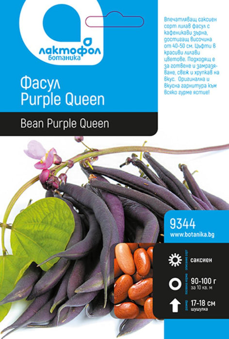 СЕМЕНА ФАСУЛ PURPLE QUEEN БОТАНИКА 50Г