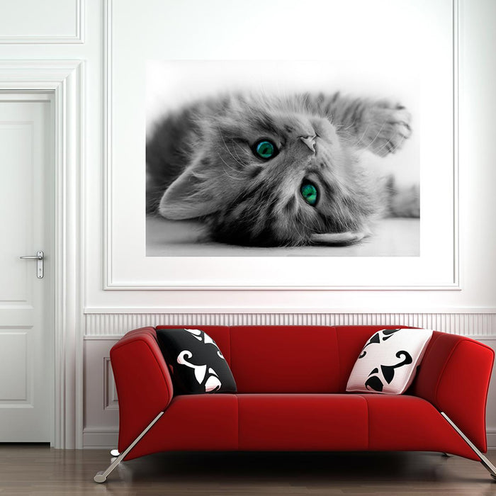 ФОТОТАПЕТ ФЛИС 160X110/1Ч ПЛАКАТ КОТЕ