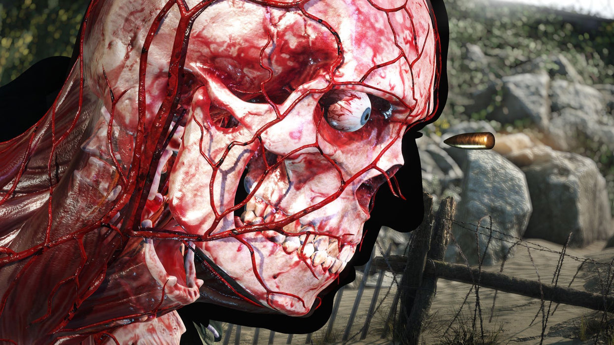 Sniper Elite 5 (PS4)