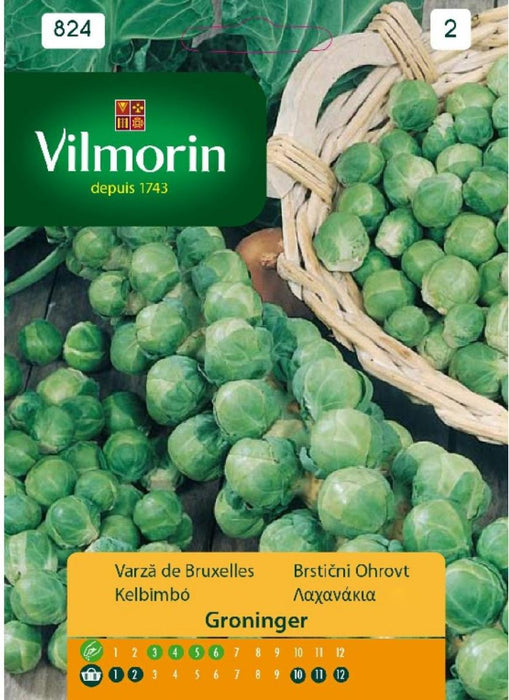 СЕМЕНА БРЮК.ЗЕЛЕ GROEN.ВИЛМОРИН