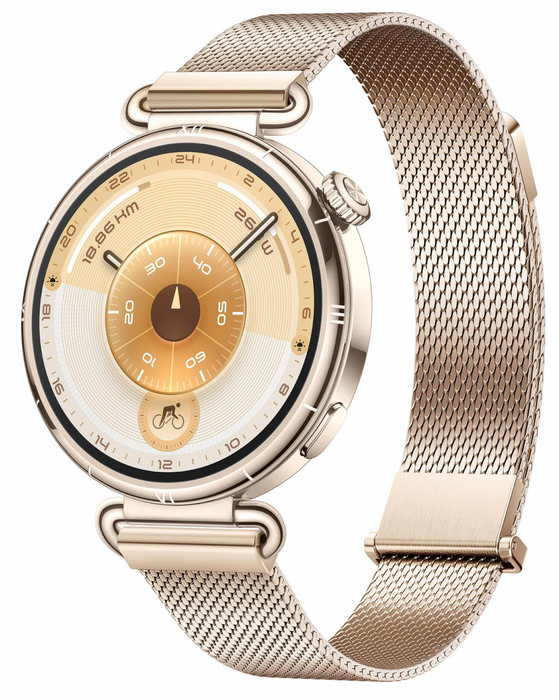 Смарт часовник Huawei Watch GT6, Konsu-B19M Millanese