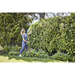Ножица за жив плет с дръжка 24V Greenworks G24PH51 - 2300707