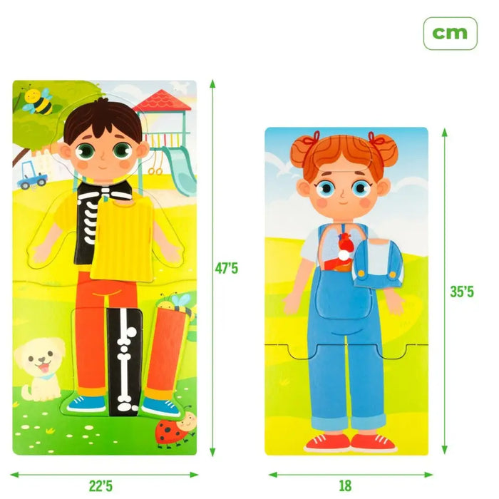 Образователна Игра Lisciani Giochi Baby Doctor 22,5 x 0,5 x