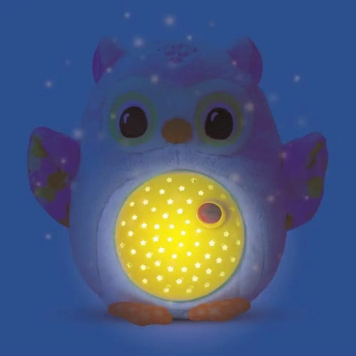 Образователна игра Vtech Baby Ma Veilleuse lumi choutte (FR)