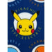 Одеяло Pokémon 25 x 7 x 13 cm Многоцветен Животни