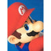 Одеяло Mario Bros 25 x 14 x 26 cm Черен Животни