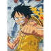 Одеяло One Piece
