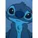 Одеяло Stitch 25 x 11 x 13 cm Син Шотландски картини