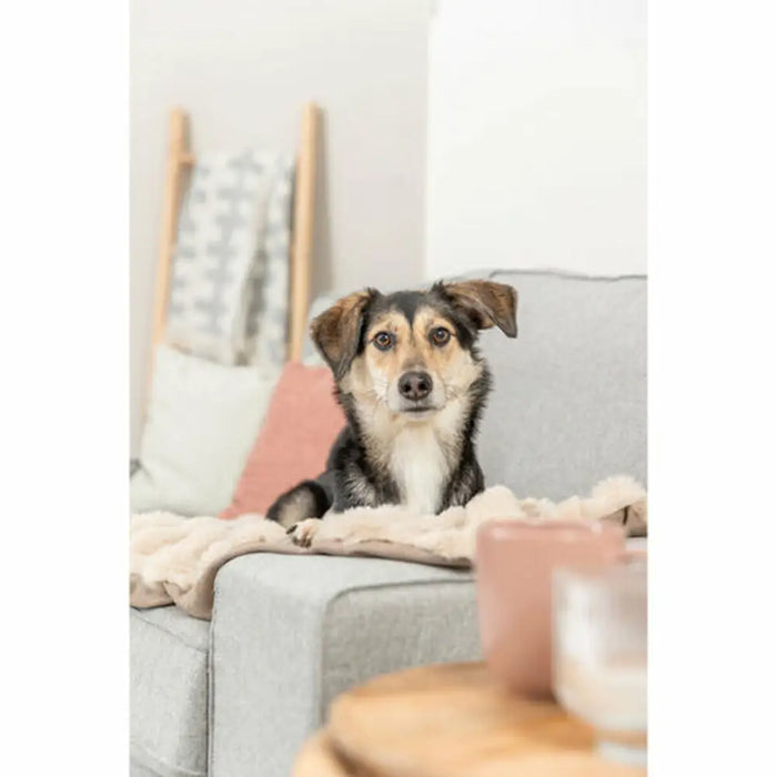 Одеяло за Домашни Любимци Trixie Elli От пясък полиестер 70