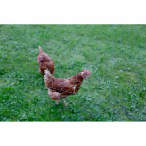 Ограда Kerbl Черен 5 x 10 m