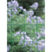 ОГРАДНА МРЕЖА 1.5X25M BETAFENCE PANTANET LIGHT