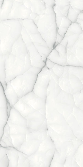ГРАНИТОГРЕС 60Х120 THUNDER ONYX SILVER