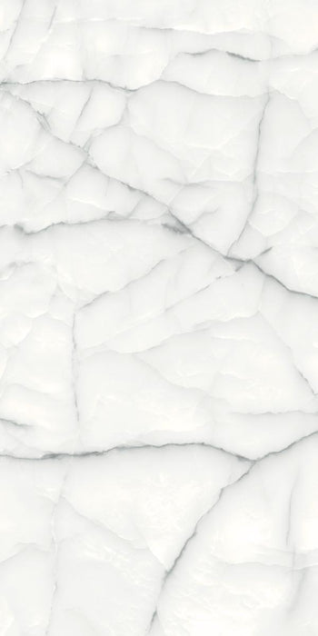 ГРАНИТОГРЕС 60Х120 THUNDER ONYX SILVER
