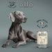 OLLO Pure Horse - мокра храна за кучета - 400