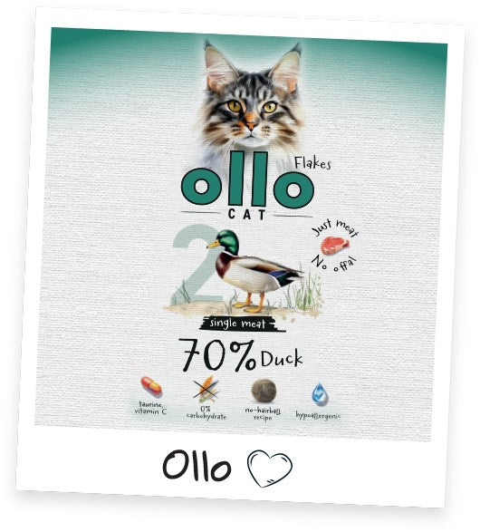 OLLO Cat No. 2 Duck Mono - мокра котешка храна - 85 г