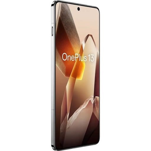 OnePlus 13 17,3 cm (6,82’’) Dual SIM Android 15 5G USB