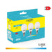 Опаковка от 3 LED крушки EDM 98202 G 35 W 5 W 50 W E14 400