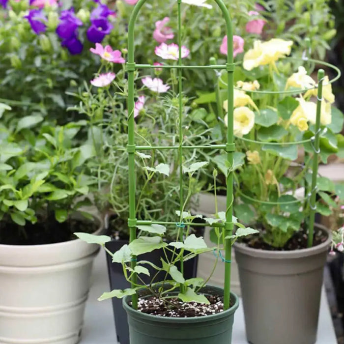 ОПОРА ЗА РАСТЕНИЯ 60 CM BRADAS TYRD60